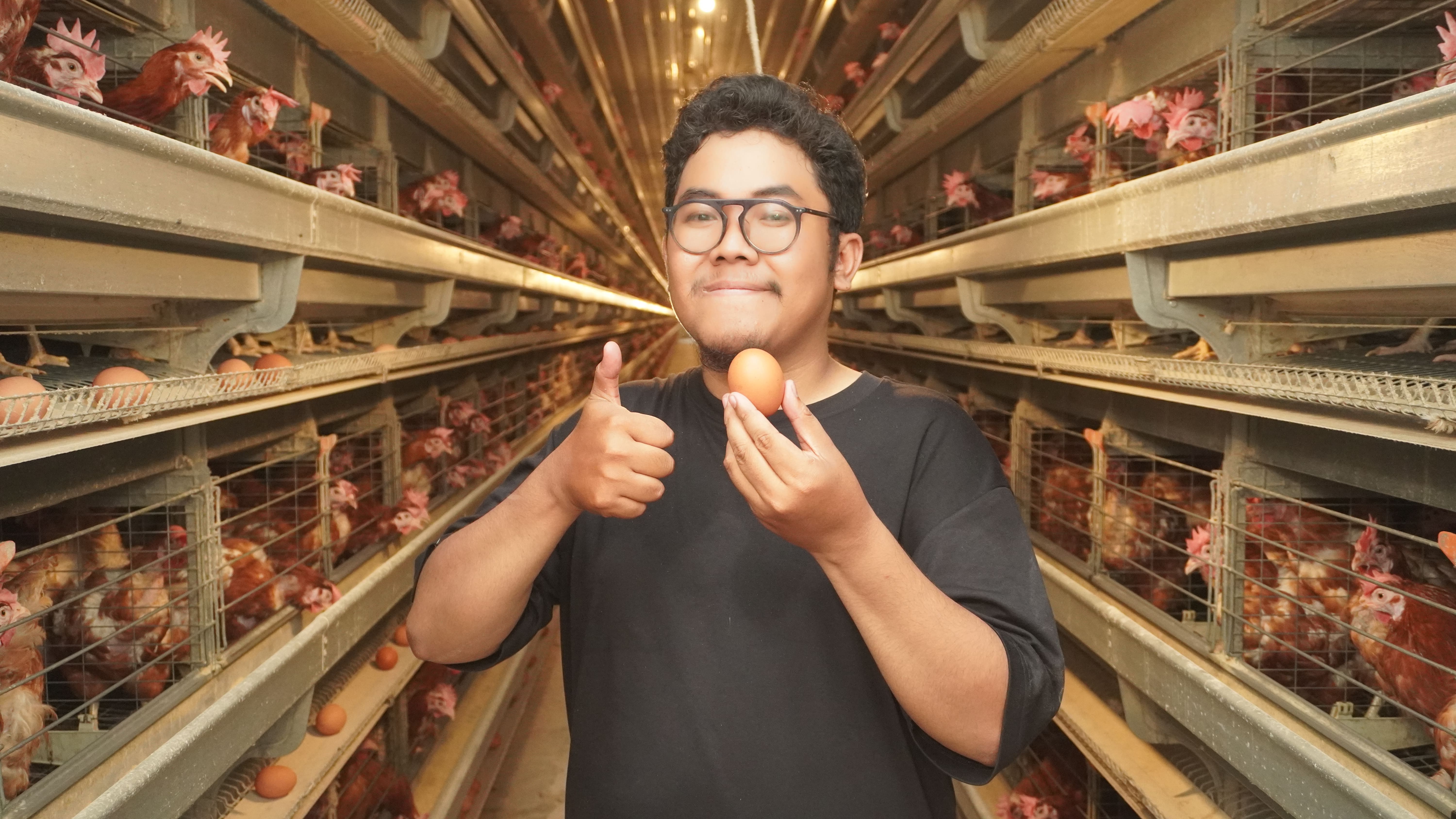 Seorang peternak ayam yang sedang memegang sebutir telur ayam