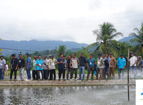 Pelatihan Budidaya Ikan Nila IAS Belanda di Daerah Pasaman Sumatera Barat